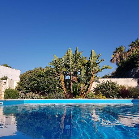 Villa Karmarea Mola di Bari Eksteriør bilde